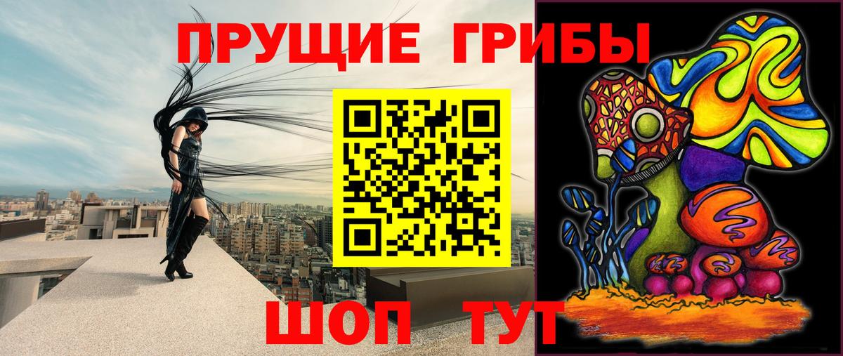 наркотики  Вход с VPN  Щёлково  Галлюциногенные грибы MAGIC MUSHROOMS 
